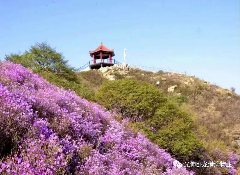 万赢娱乐(中国区) - 官方网站